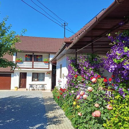 Casa Sallai Apartment Sovata Luaran gambar